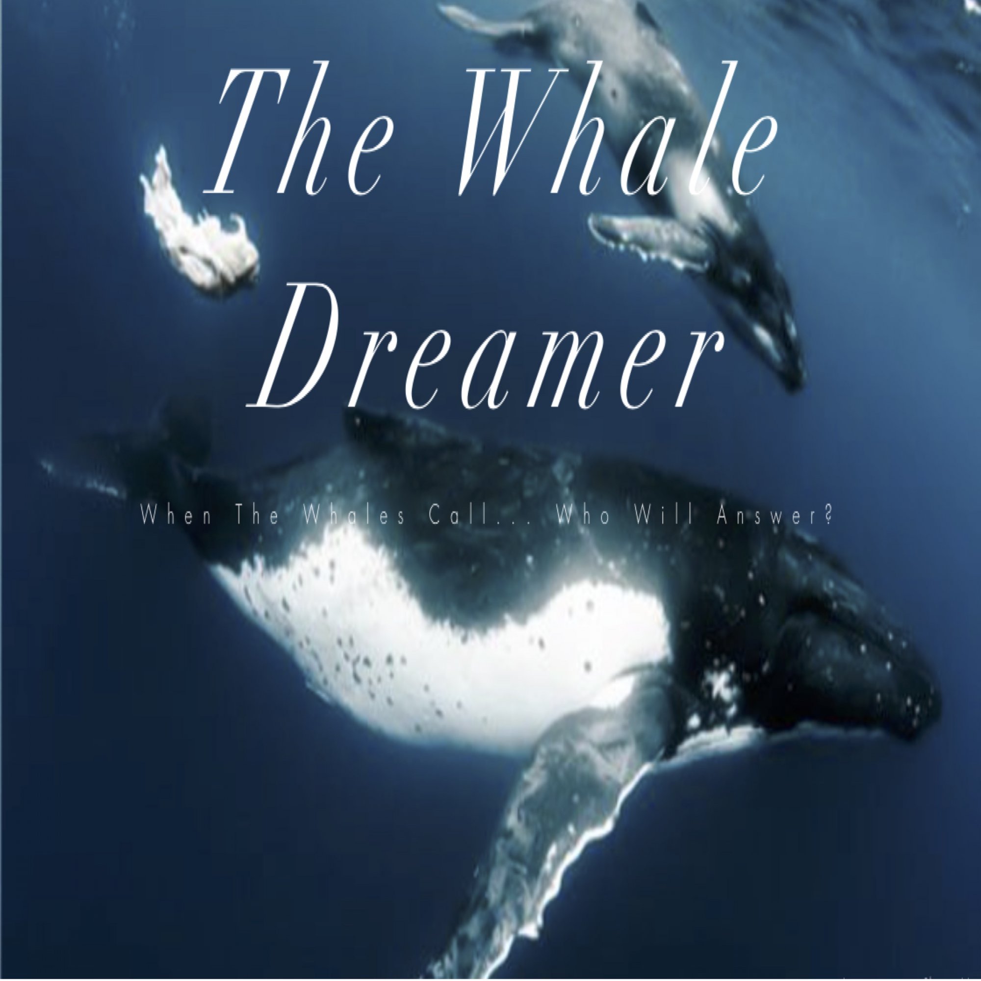 Grant Report Interview with Leah Lamb of Whale Dreamer