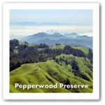 Pepperwood Preserve landscape