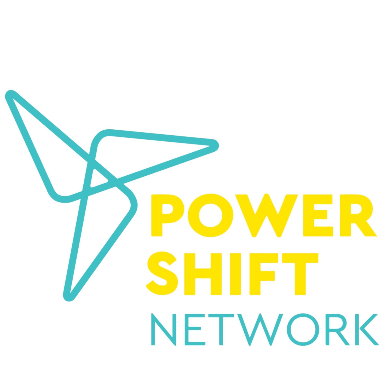 <em>2019 Grant Partner - </em>Power Shift Network