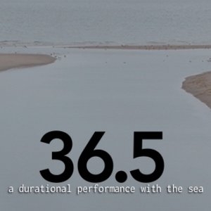 <em>2017 Grant Partner</em> - 36.5: a durational performance with the sea